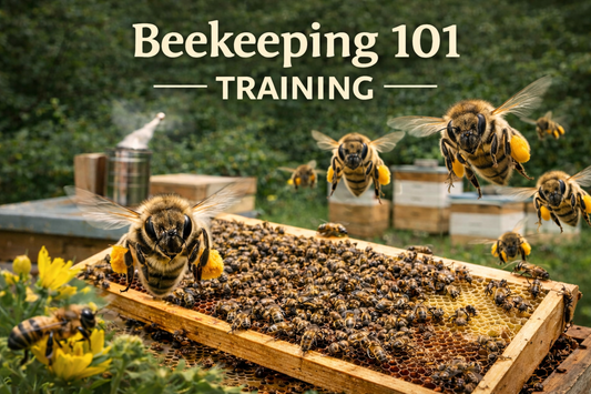 Beekeeping Class